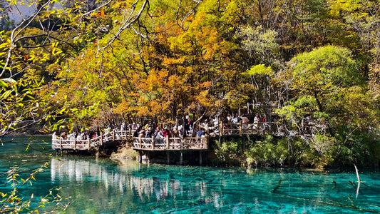 Executive Jiuzhai Discovery: A 3-Day Luxury Small Group Tour with 1+1 Captain's Seats