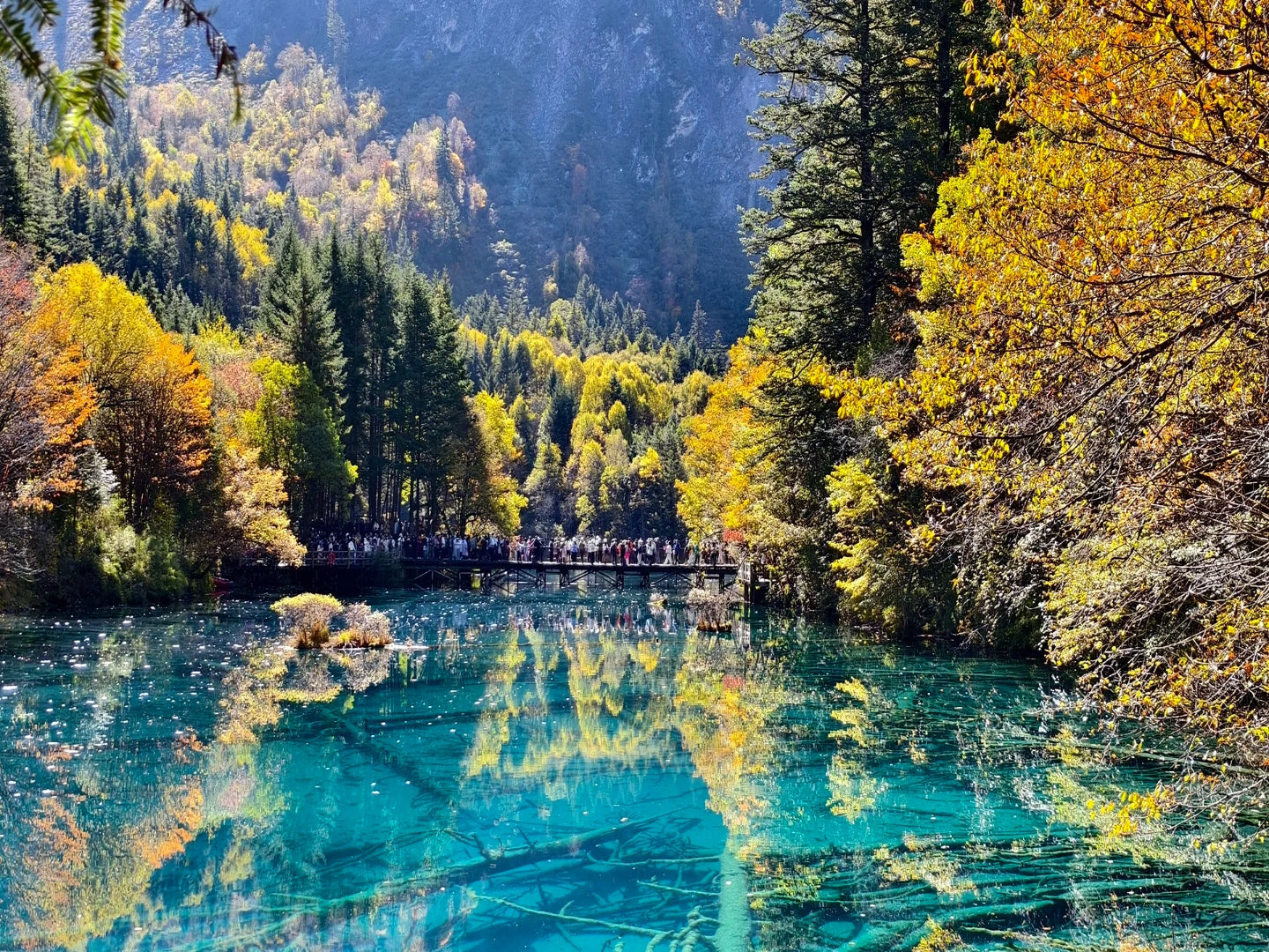 6-Day Sichuan UNESCO Tour: Pandas, Jiuzhaigou Valley & Huanglong