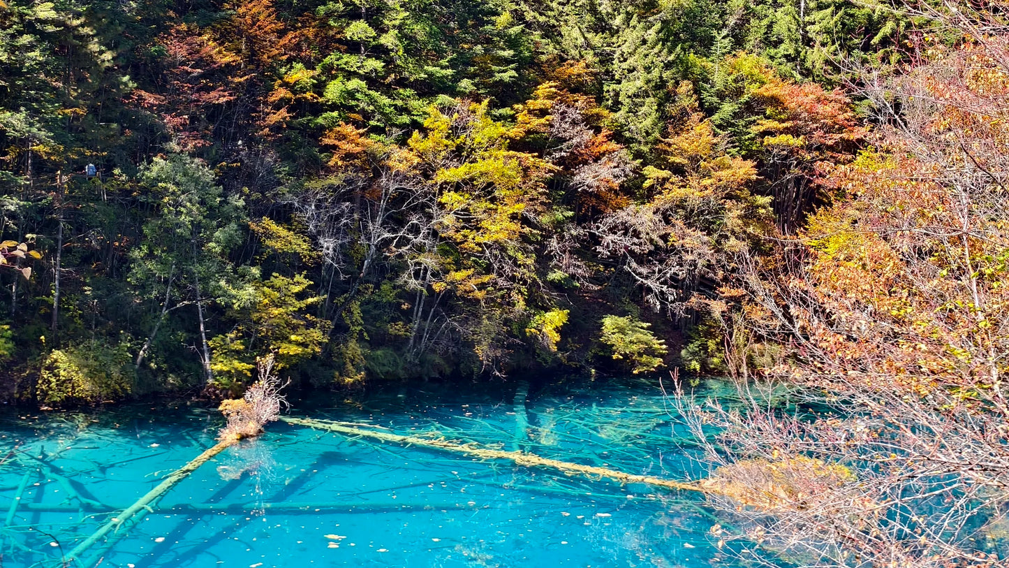 Jiuzhaigou Valley Discovery: A 6-Day Private Photo Journey with Pandas & Hotpot Bus Experience the fairy-tale landscapes of Jiuzhaigou