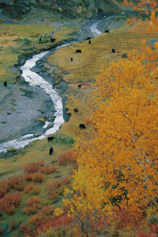 10-Day Sichuan Tibet Overland Tour from Chengdu to Lhasa