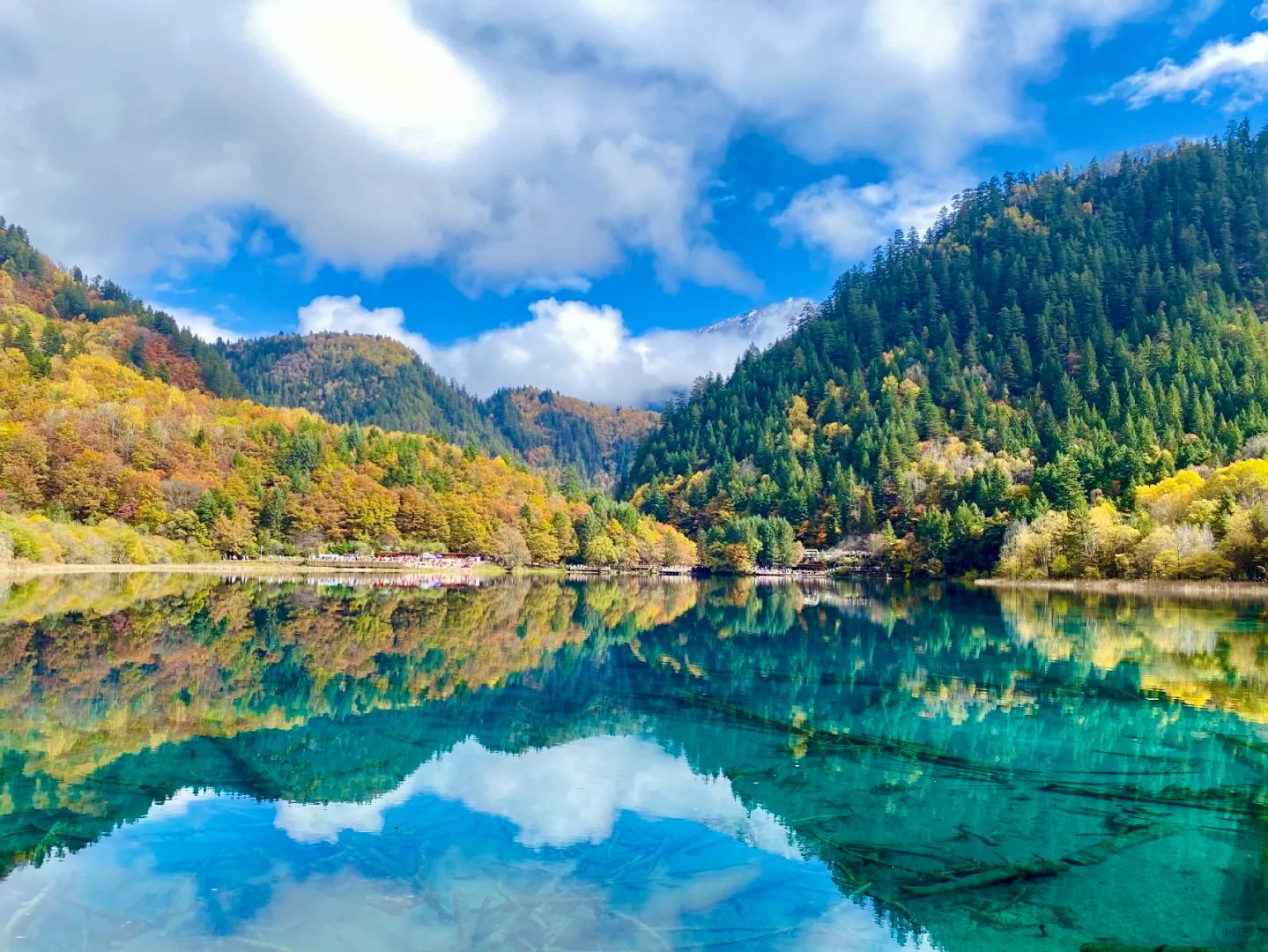 Jiuzhaigou Valley Discovery: A 6-Day Private Photo Journey with Pandas & Hotpot Bus Experience the fairy-tale landscapes of Jiuzhaigou