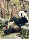 Executive Jiuzhai Discovery: A 3-Day Luxury Small Group Tour with 1+1 Captain's Seats