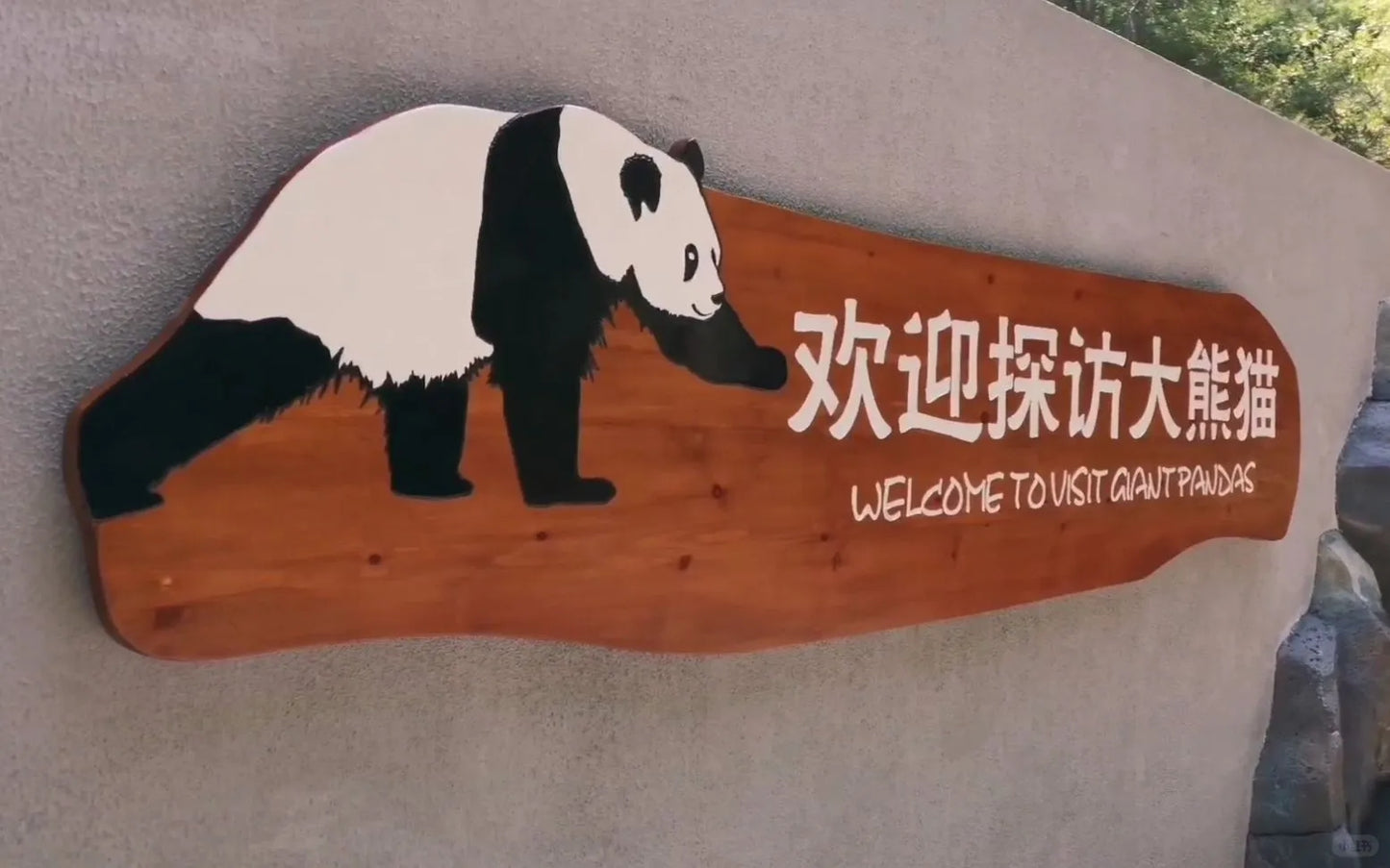Chengdu &amp; Chongqing: A 6‑Day Photogenic City Walk with Pandas, Hotpot &amp; Skyline