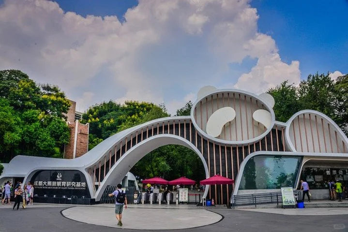 Chengdu &amp; Chongqing: A 6‑Day Photogenic City Walk with Pandas, Hotpot &amp; Skyline