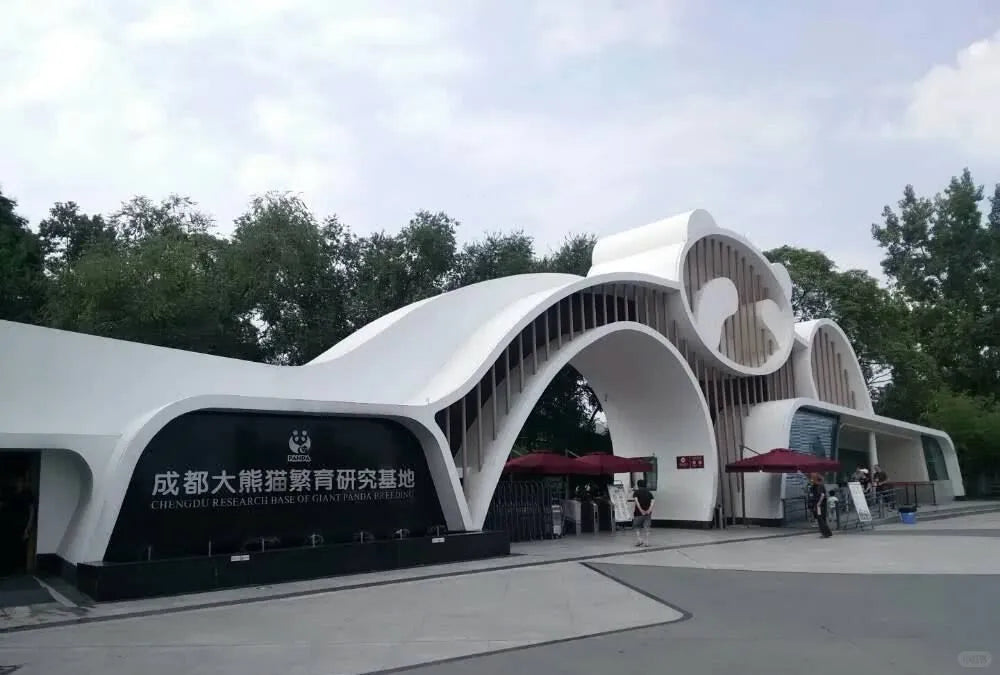 Chengdu &amp; Chongqing: A 6‑Day Photogenic City Walk with Pandas, Hotpot &amp; Skyline
