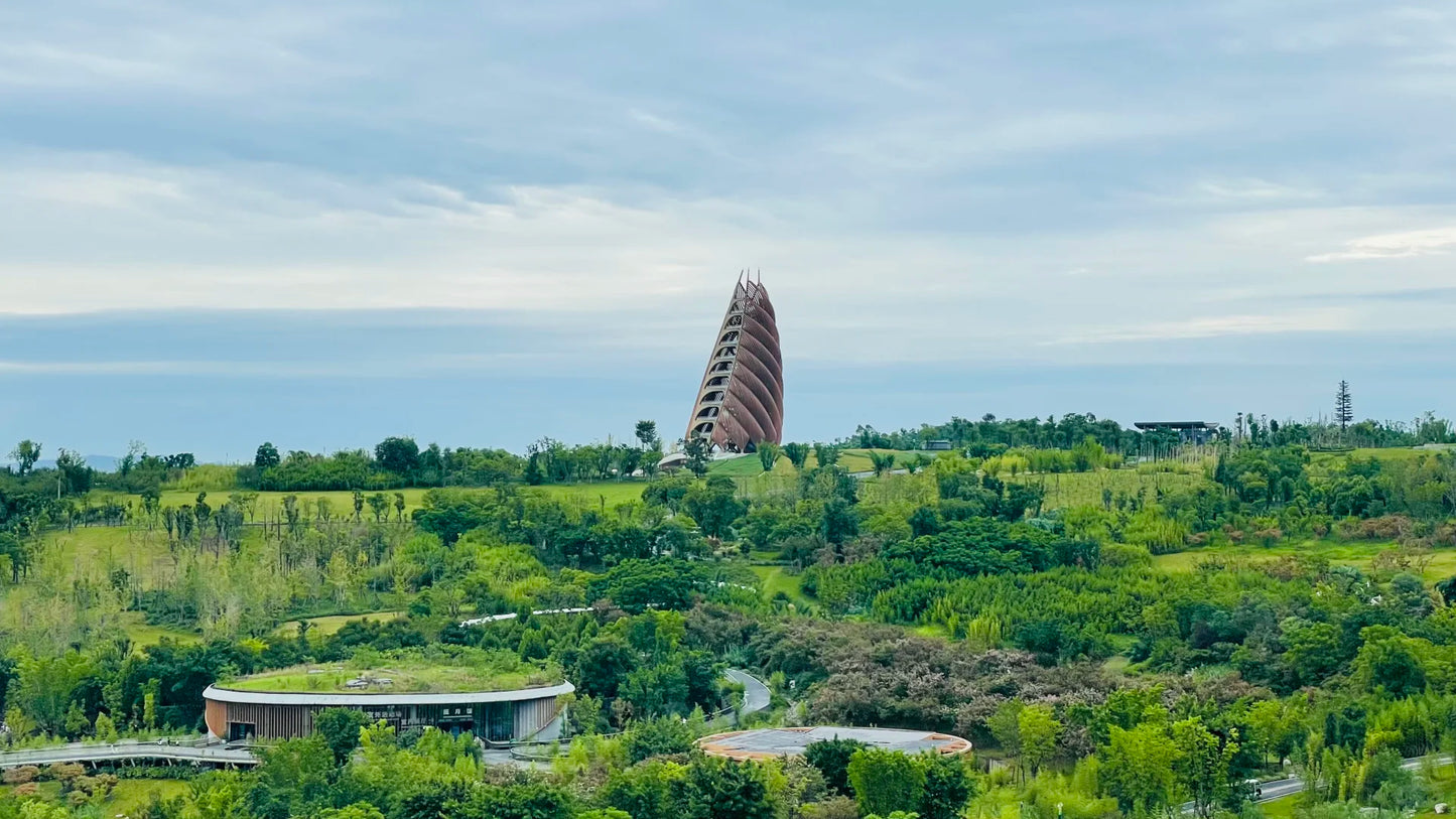 Chengdu &amp; Chongqing: A 6‑Day Photogenic City Walk with Pandas, Hotpot &amp; Skyline