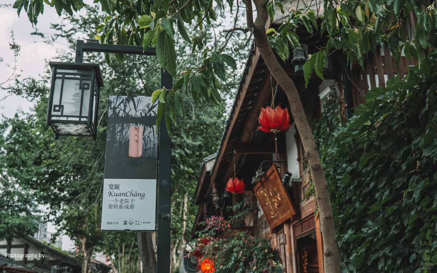 Chengdu &amp; Chongqing: A 6‑Day Photogenic City Walk with Pandas, Hotpot &amp; Skyline