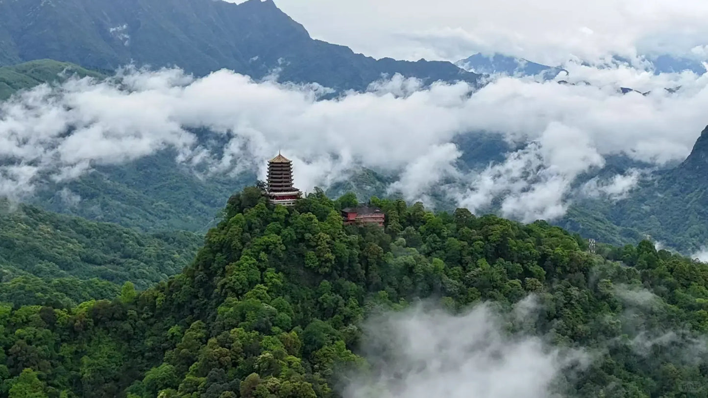 Discover the Real Chengdu: A 5-Day Private Photo Journey with Pandas &amp; Ancient Wonders