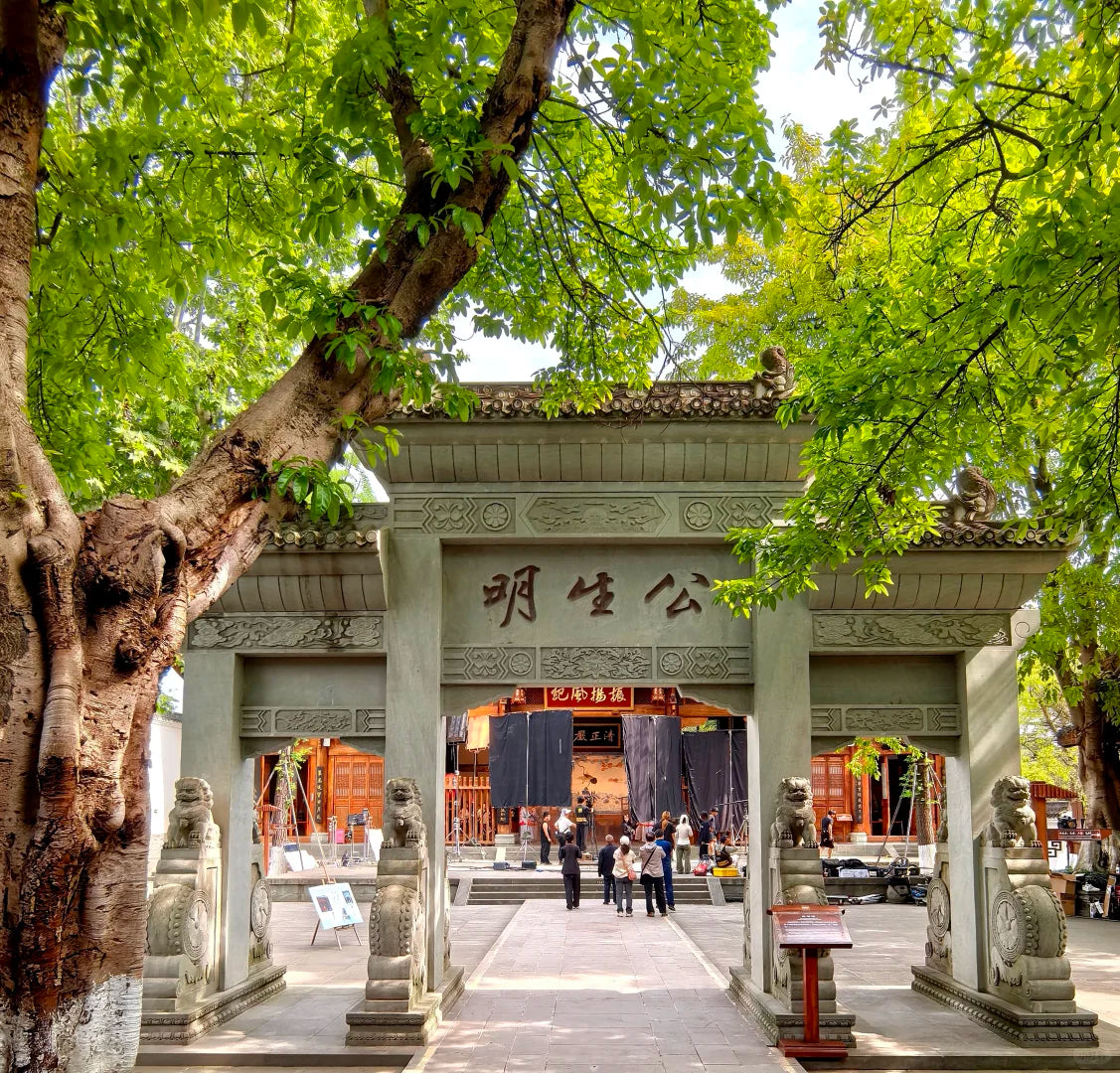 Immerse Yourself in "Searching for Chinese New Year": A 3-Day Cultural Journey to Langzhong