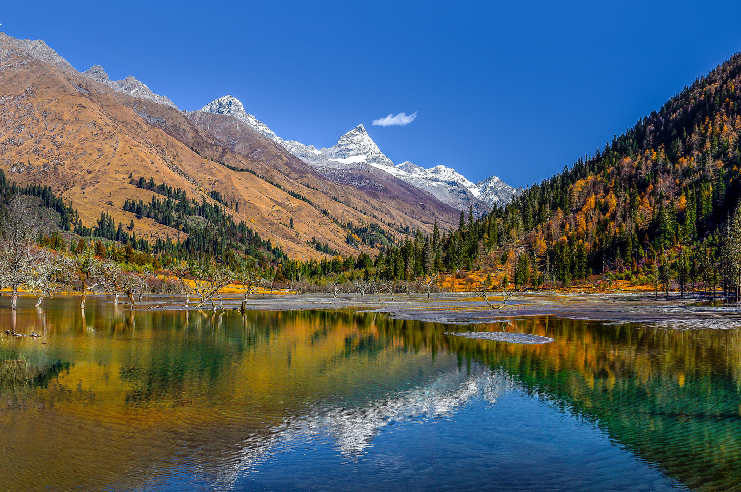 West Sichuan Loop: A 9-Day Private Photo Journey Through Tibet's Eastern Frontier