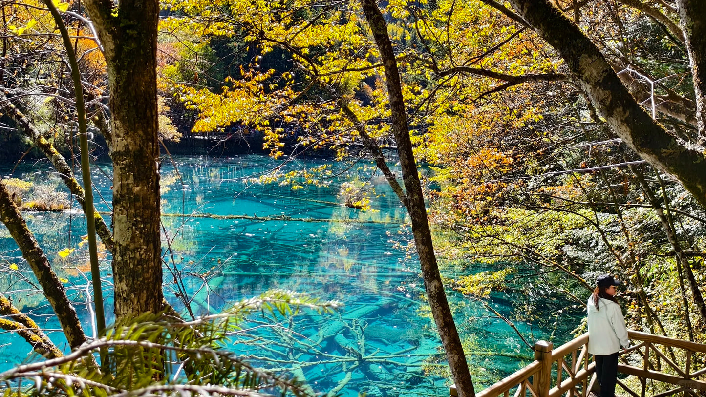 Executive Jiuzhai Discovery: A 3-Day Luxury Small Group Tour with 1+1 Captain's Seats