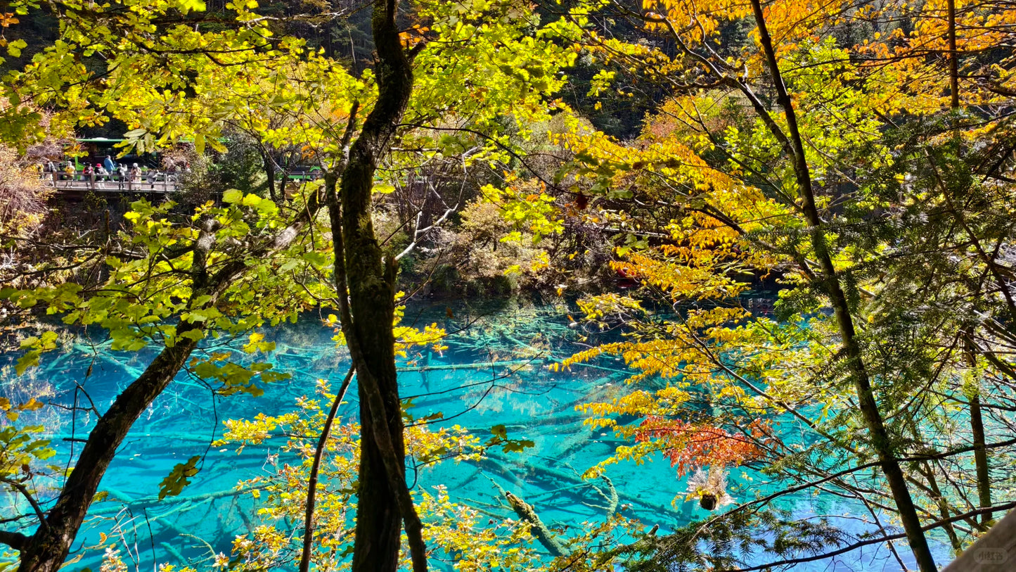 Executive Jiuzhai Discovery: A 3-Day Luxury Small Group Tour with 1+1 Captain's Seats