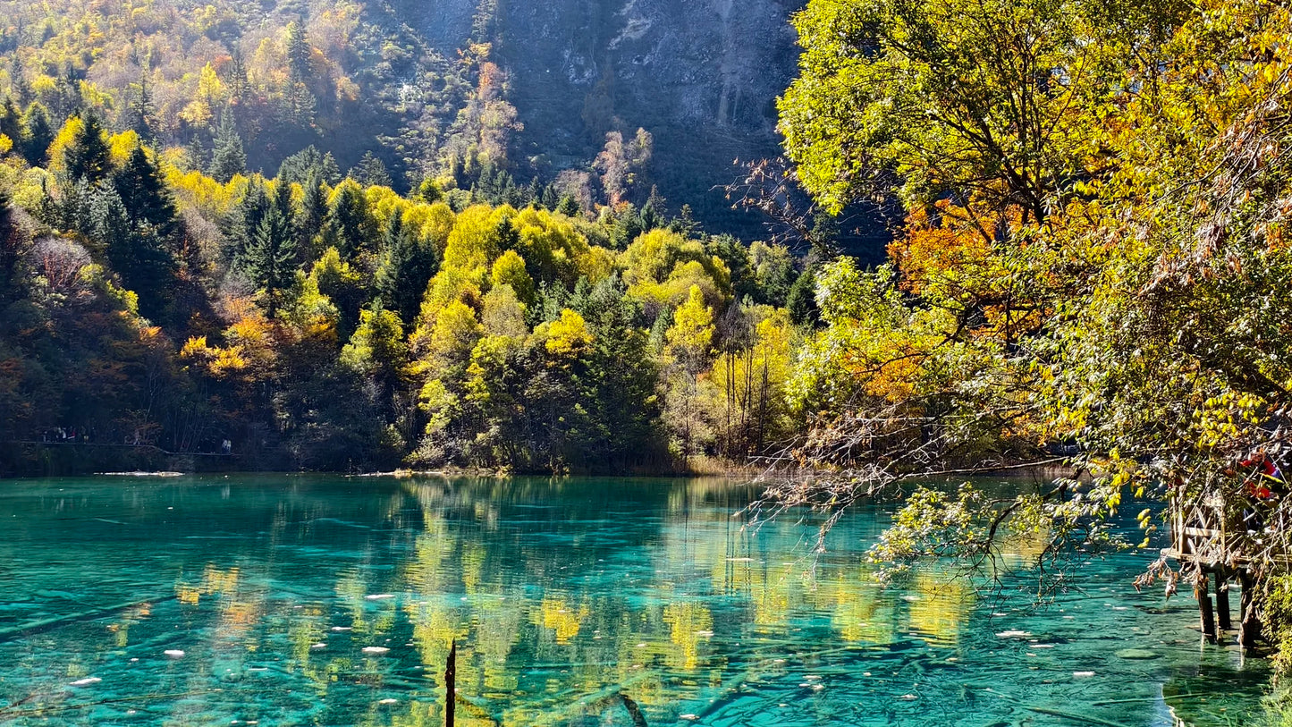 Executive Jiuzhai Discovery: A 3-Day Luxury Small Group Tour with 1+1 Captain's Seats