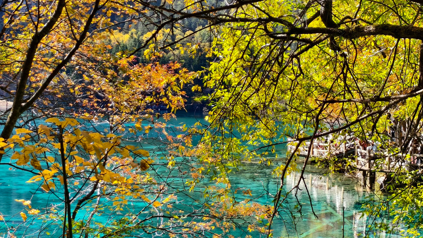 Executive Jiuzhai Discovery: A 3-Day Luxury Small Group Tour with 1+1 Captain's Seats