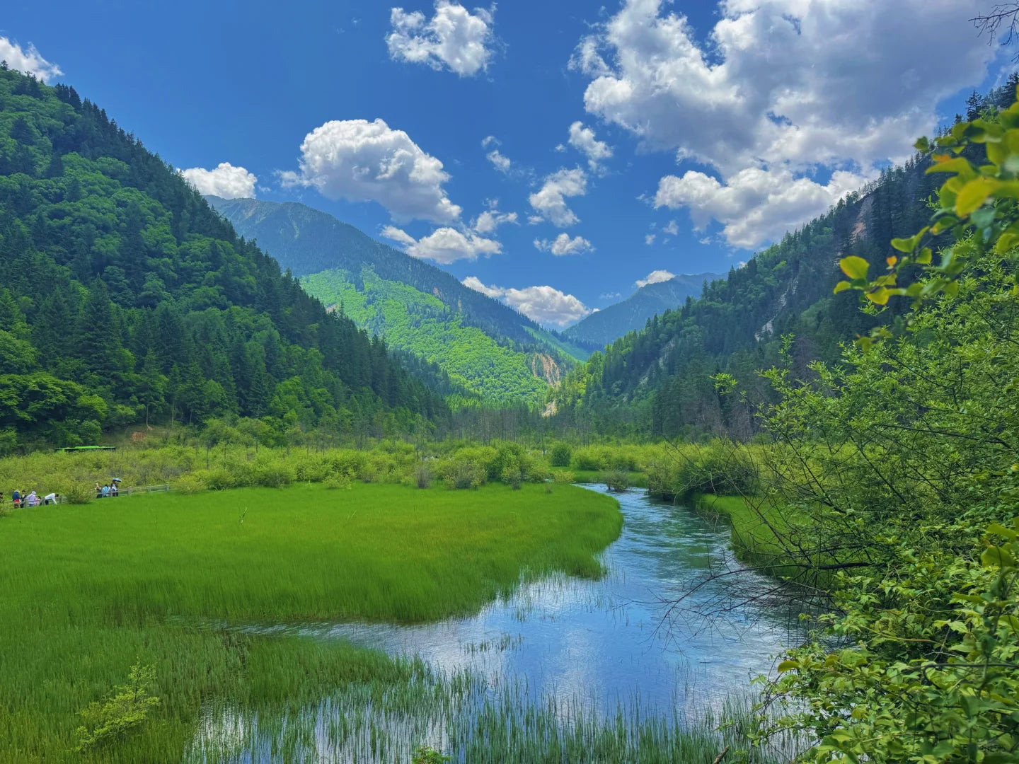Executive Jiuzhai Discovery: A 3-Day Luxury Small Group Tour with 1+1 Captain's Seats