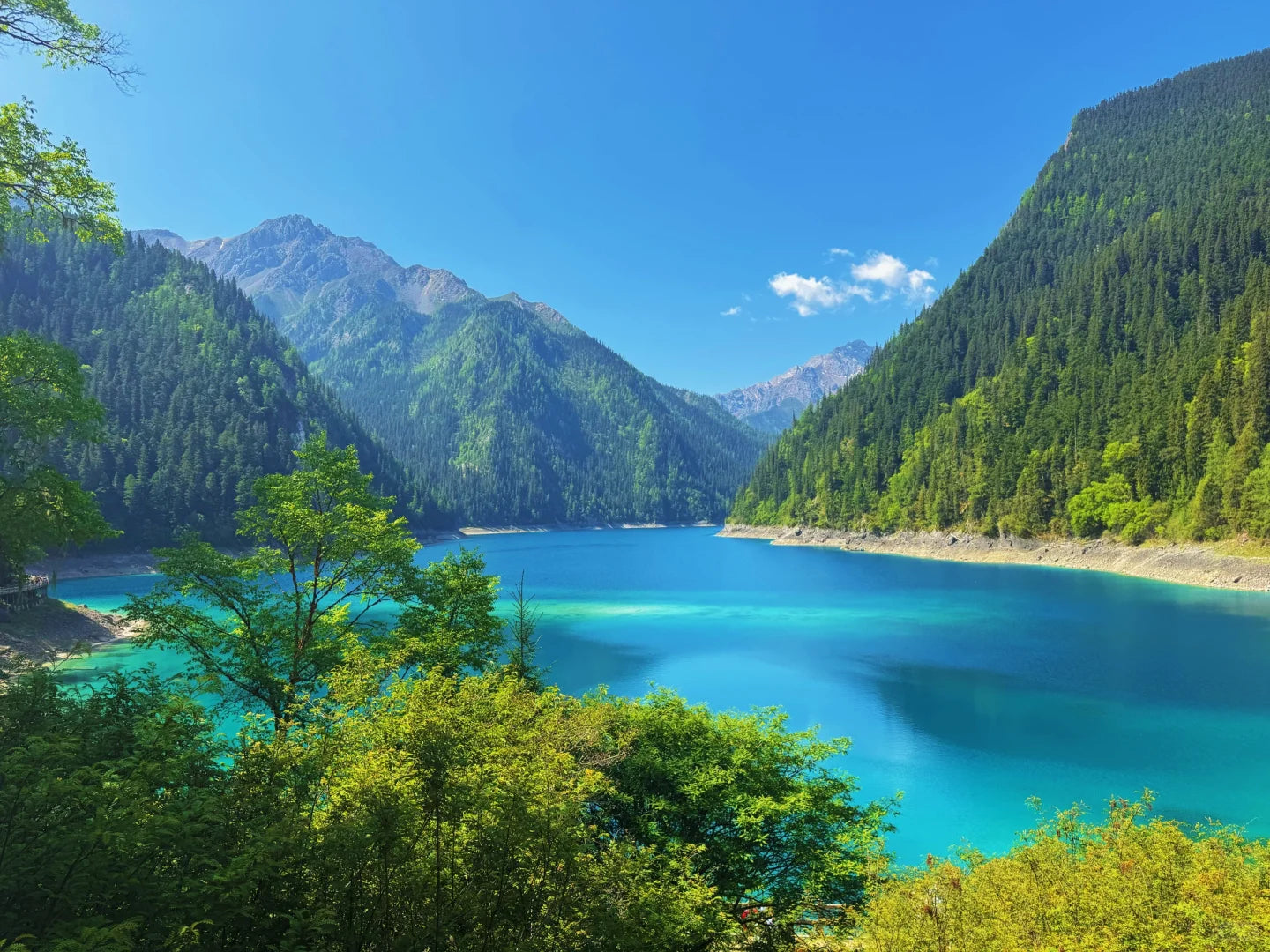 Executive Jiuzhai Discovery: A 3-Day Luxury Small Group Tour with 1+1 Captain's Seats