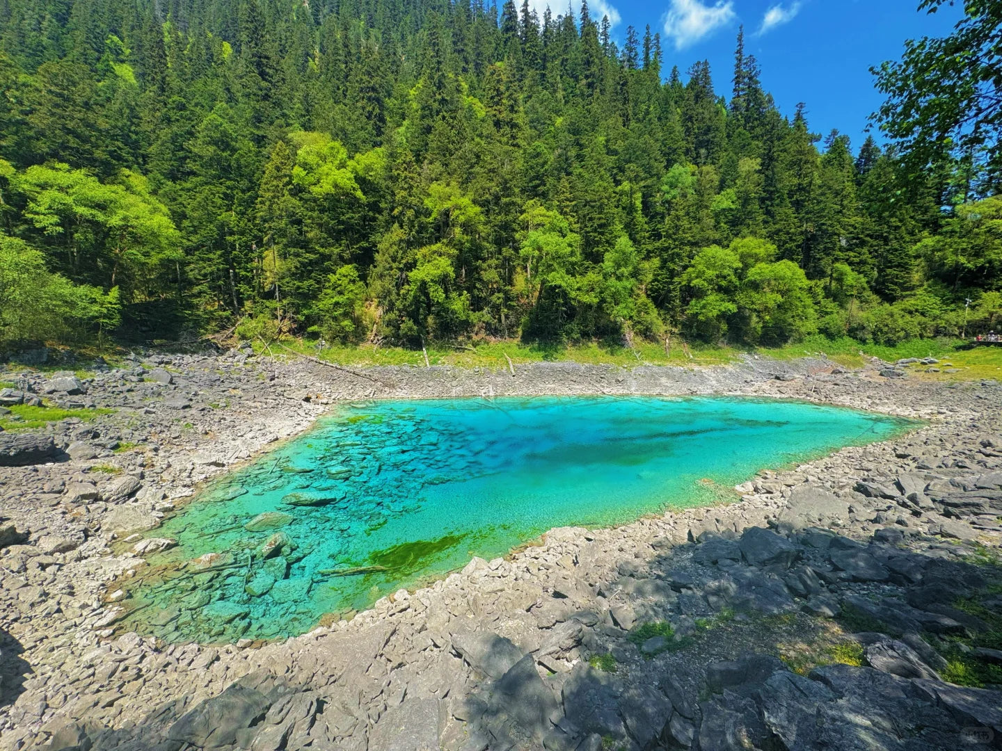 Executive Jiuzhai Discovery: A 3-Day Luxury Small Group Tour with 1+1 Captain's Seats