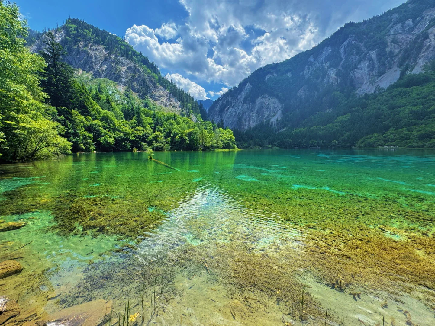 Executive Jiuzhai Discovery: A 3-Day Luxury Small Group Tour with 1+1 Captain's Seats