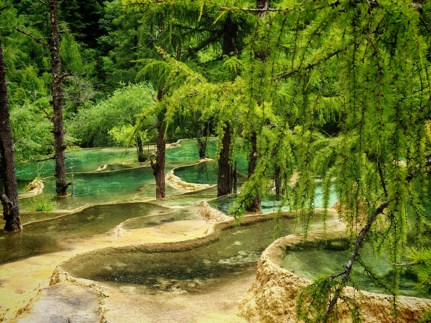 Executive Jiuzhai Discovery: A 3-Day Luxury Small Group Tour with 1+1 Captain's Seats