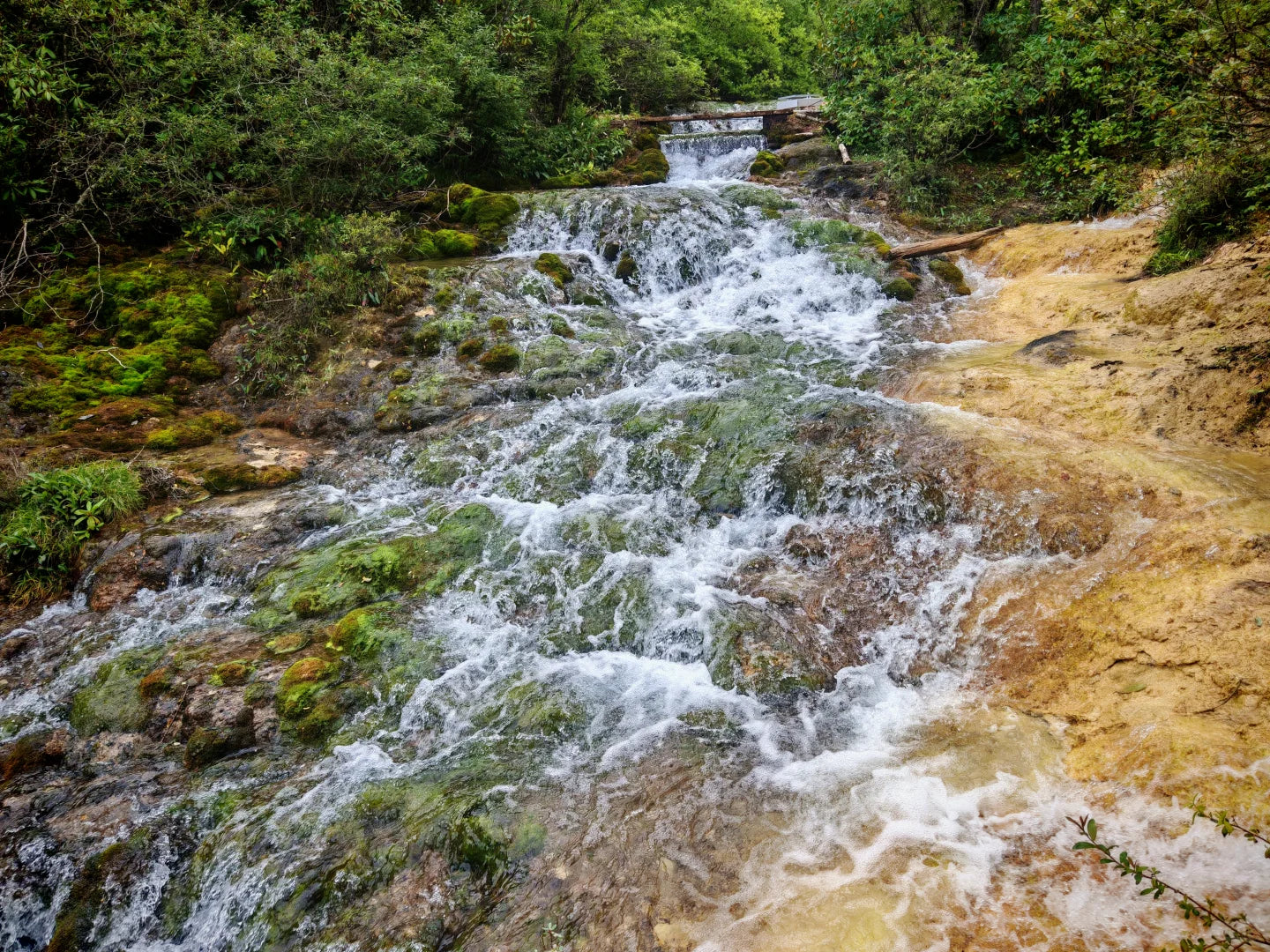 Executive Jiuzhai Discovery: A 3-Day Luxury Small Group Tour with 1+1 Captain's Seats