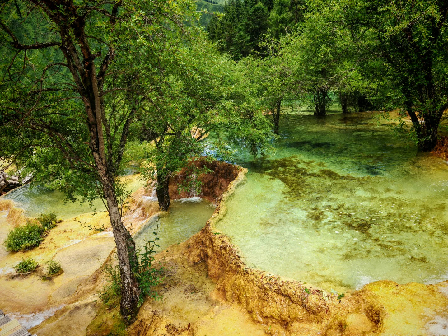 Executive Jiuzhai Discovery: A 3-Day Luxury Small Group Tour with 1+1 Captain's Seats