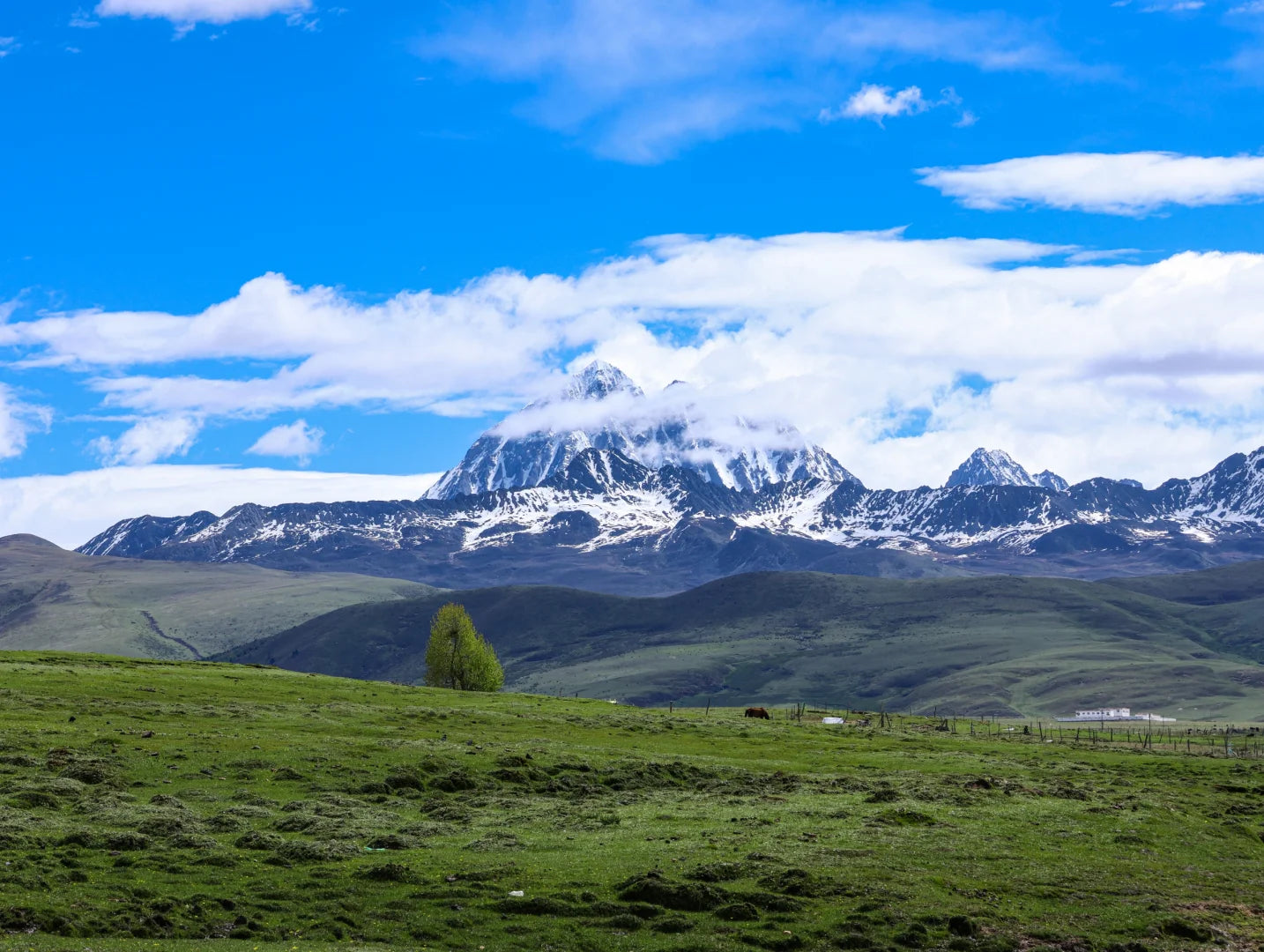 Gan-A-Liang Grand Loop: An 8-Day Journey Through Western Sichuan's Hidden Treasures