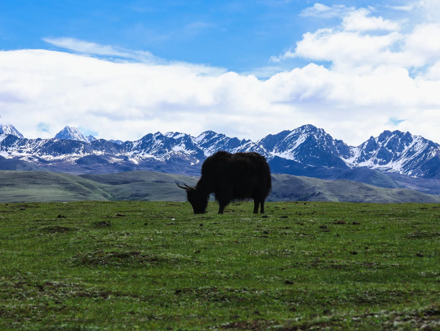 Gan-A-Liang Grand Loop: An 8-Day Journey Through Western Sichuan's Hidden Treasures