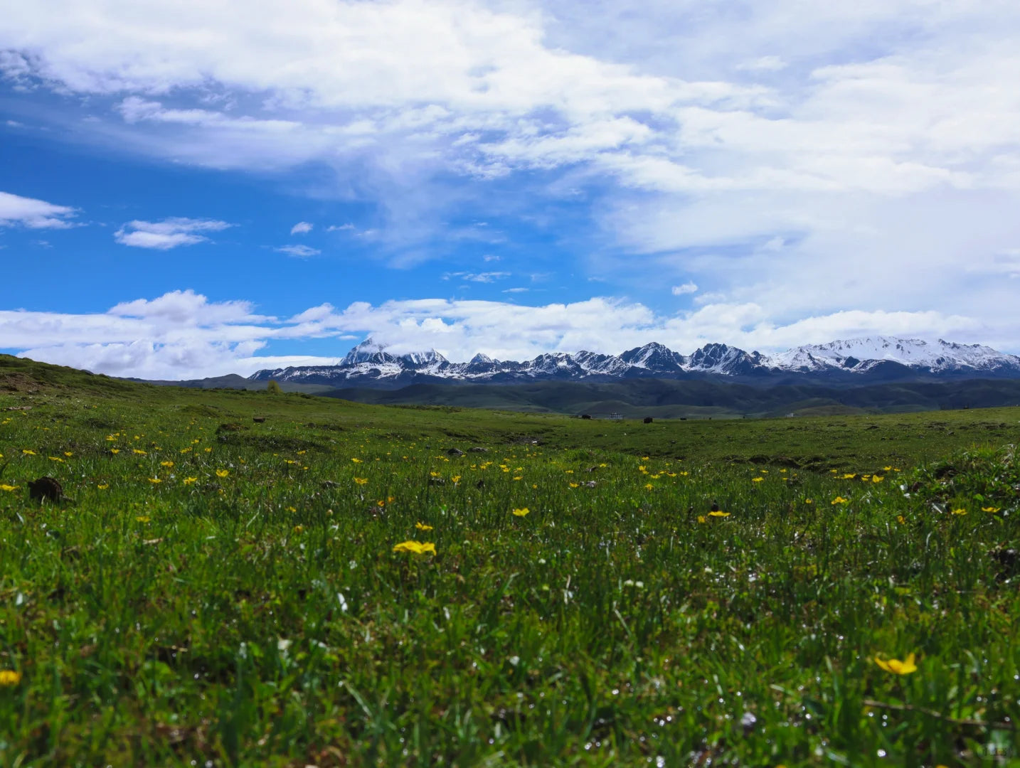 Gan-A-Liang Grand Loop: An 8-Day Journey Through Western Sichuan's Hidden Treasures
