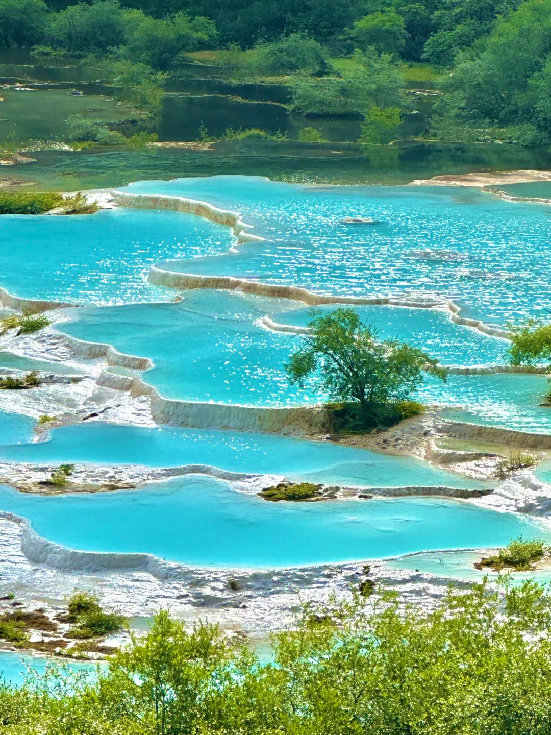 6-Day Sichuan UNESCO Tour: Pandas, Jiuzhaigou Valley & Huanglong