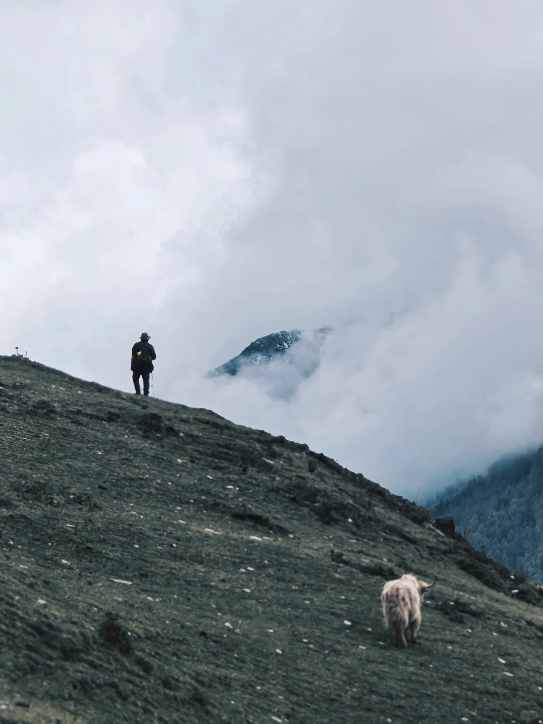 3-Day Siguniang Shan Dafeng & Erfeng Snow Climb