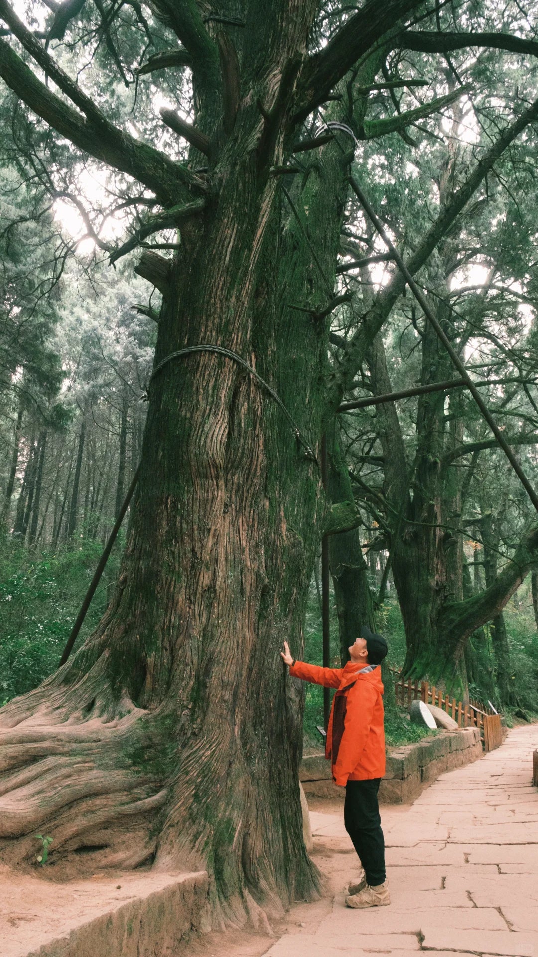 5-Day Ancient Shu Road Trek in Sichuan, China