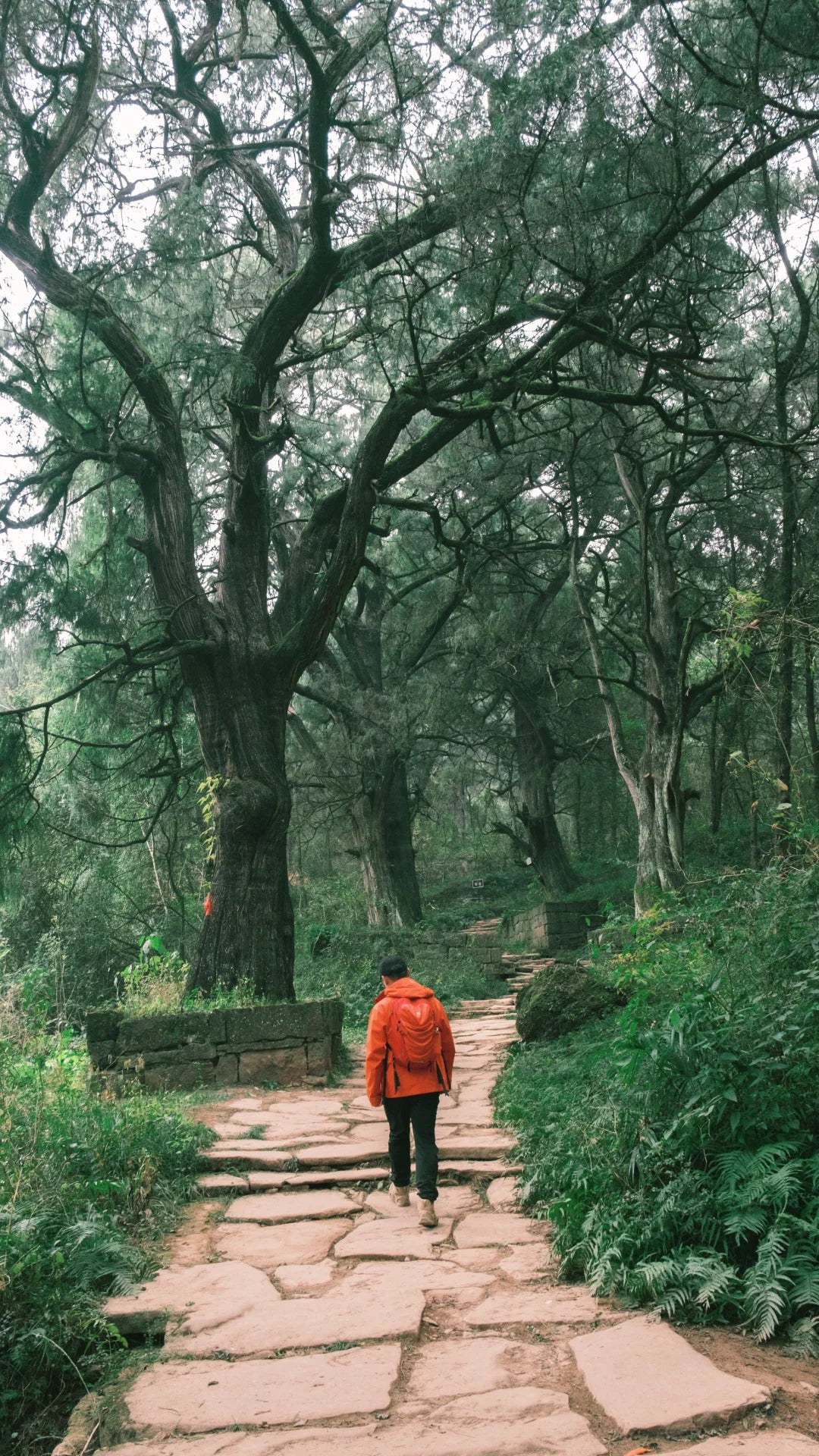 5-Day Ancient Shu Road Trek in Sichuan, China