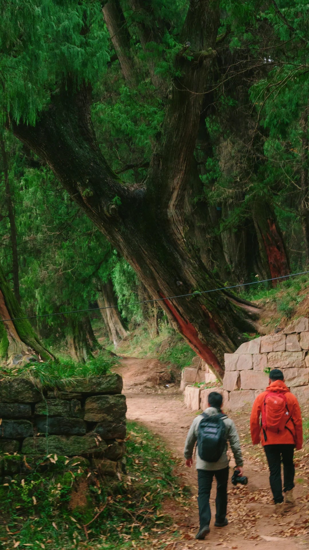 5-Day Ancient Shu Road Trek in Sichuan, China