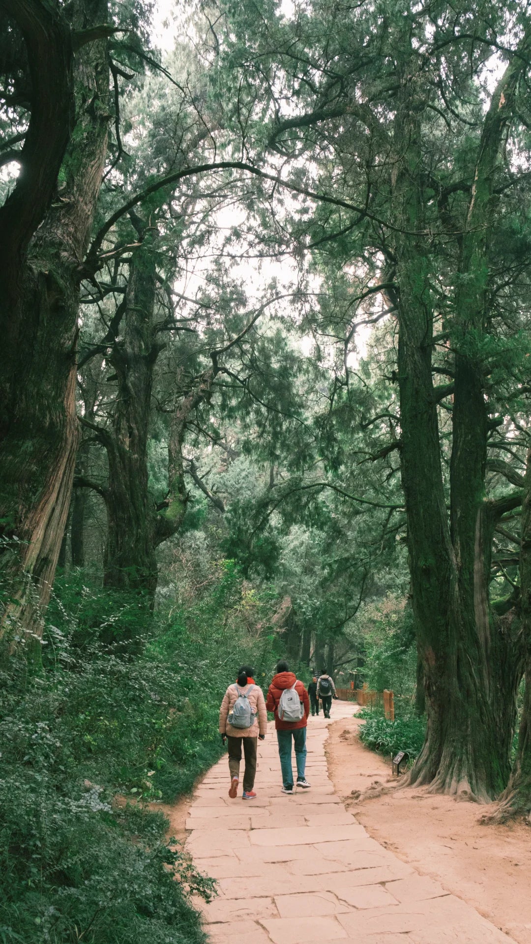 5-Day Ancient Shu Road Trek in Sichuan, China