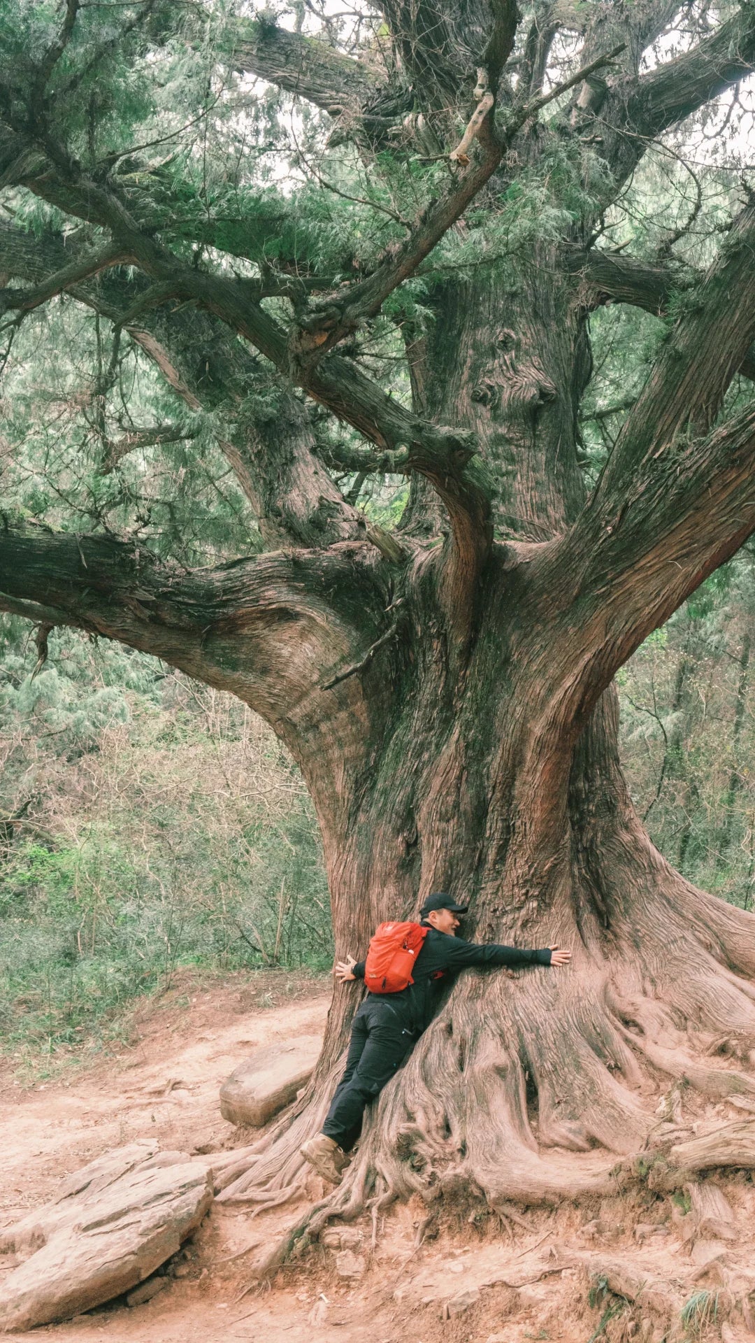 5-Day Ancient Shu Road Trek in Sichuan, China