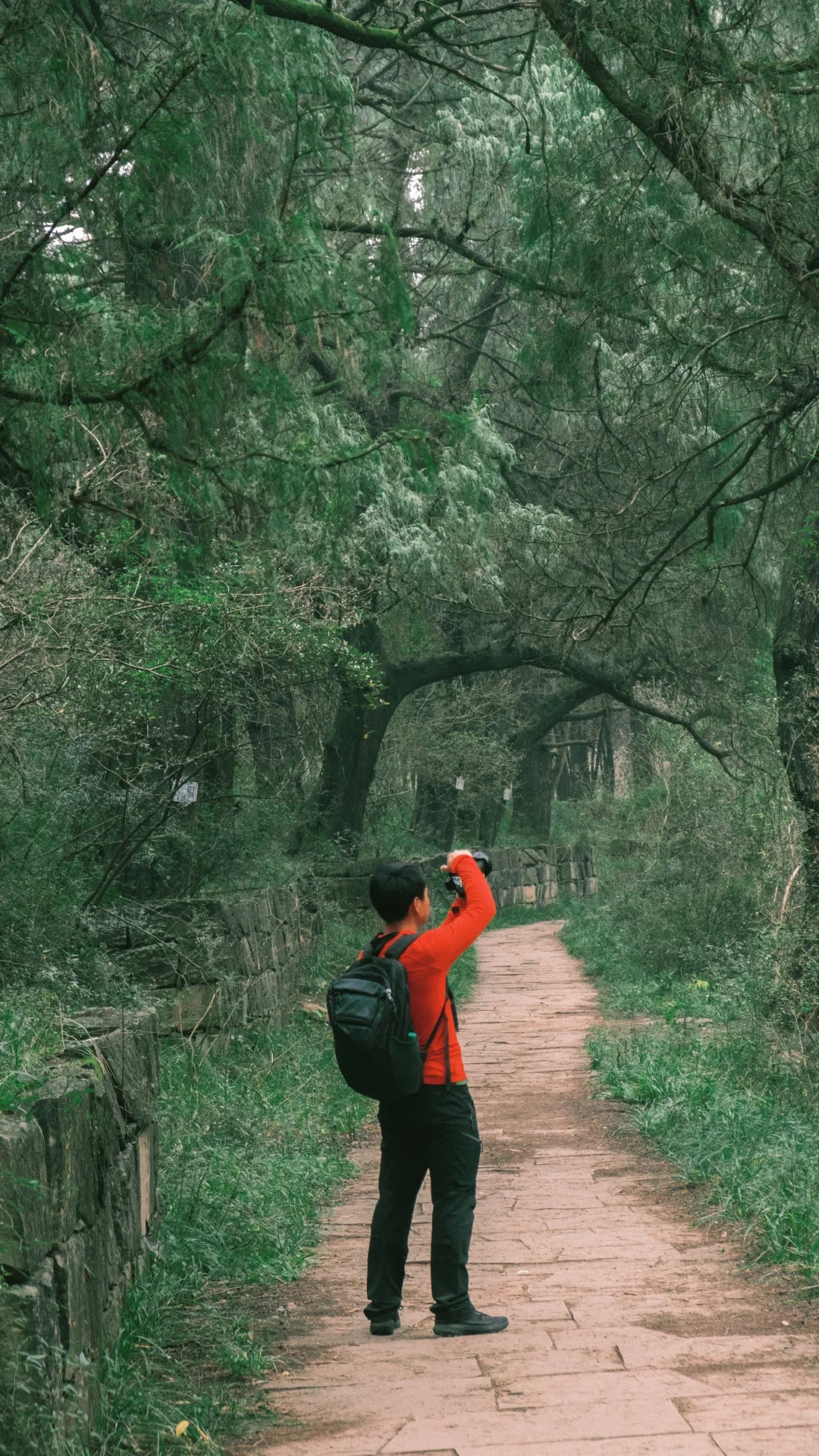 5-Day Ancient Shu Road Trek in Sichuan, China