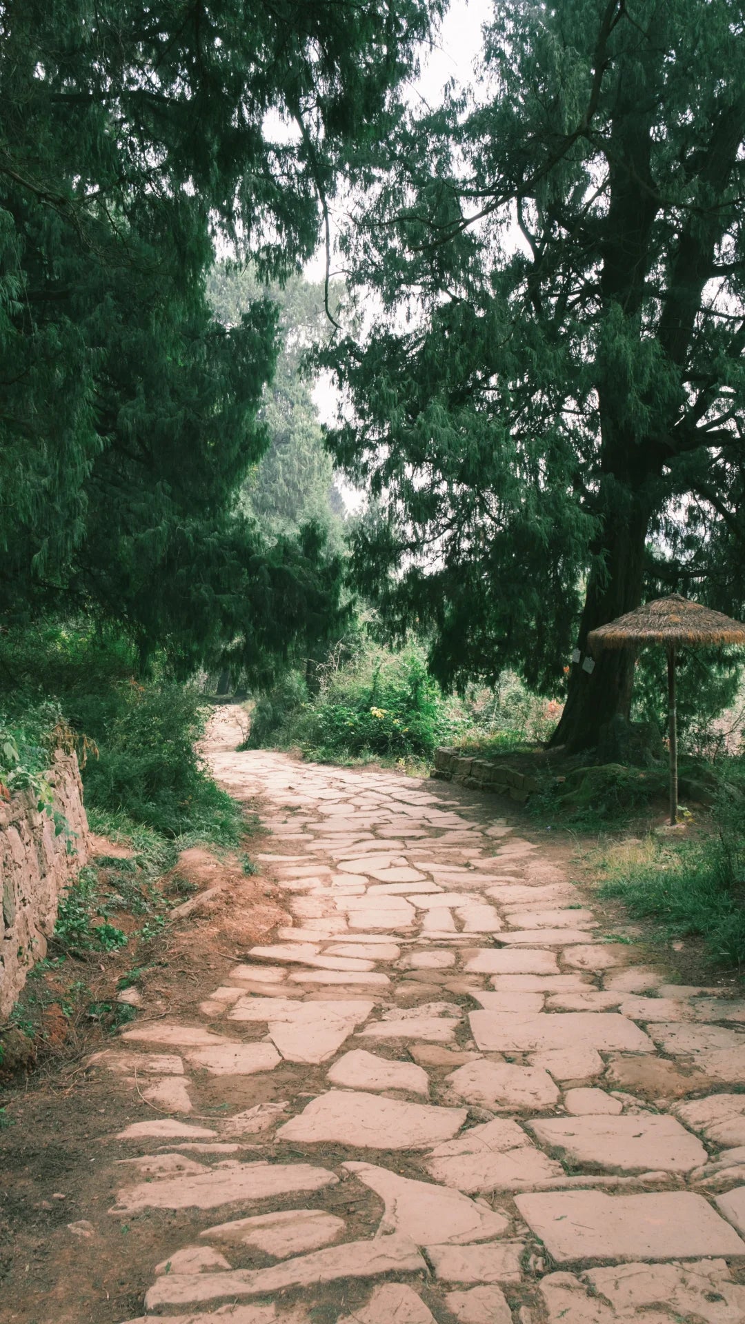 5-Day Ancient Shu Road Trek in Sichuan, China