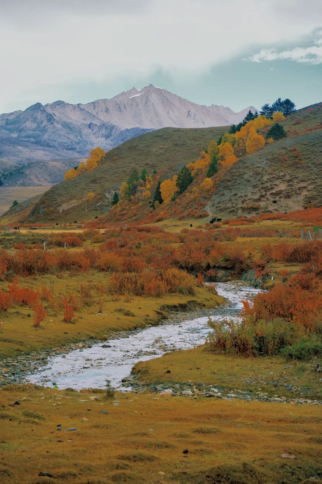 10-Day Sichuan Tibet Overland Tour from Chengdu to Lhasa