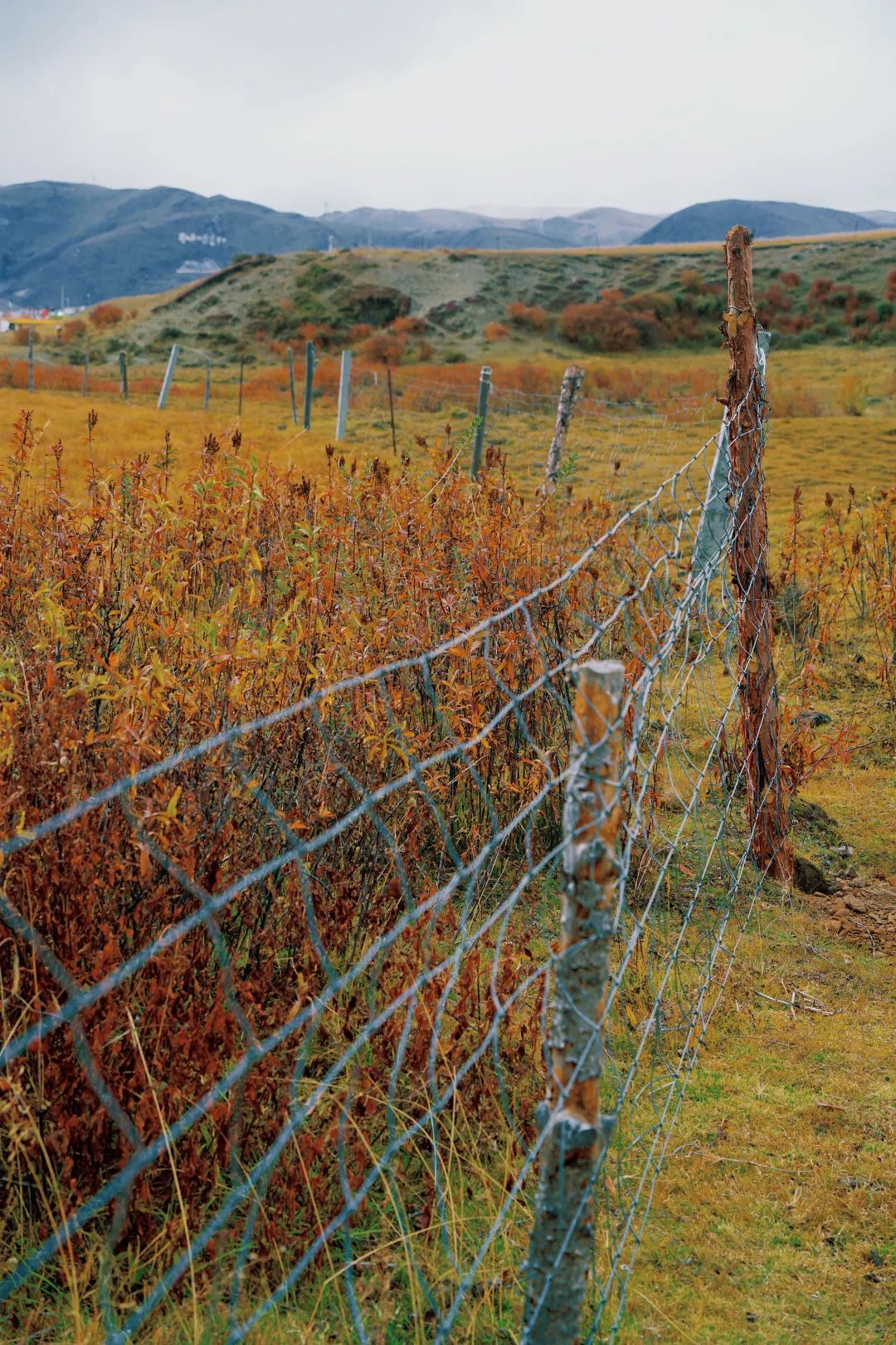 10-Day Sichuan Tibet Overland Tour from Chengdu to Lhasa