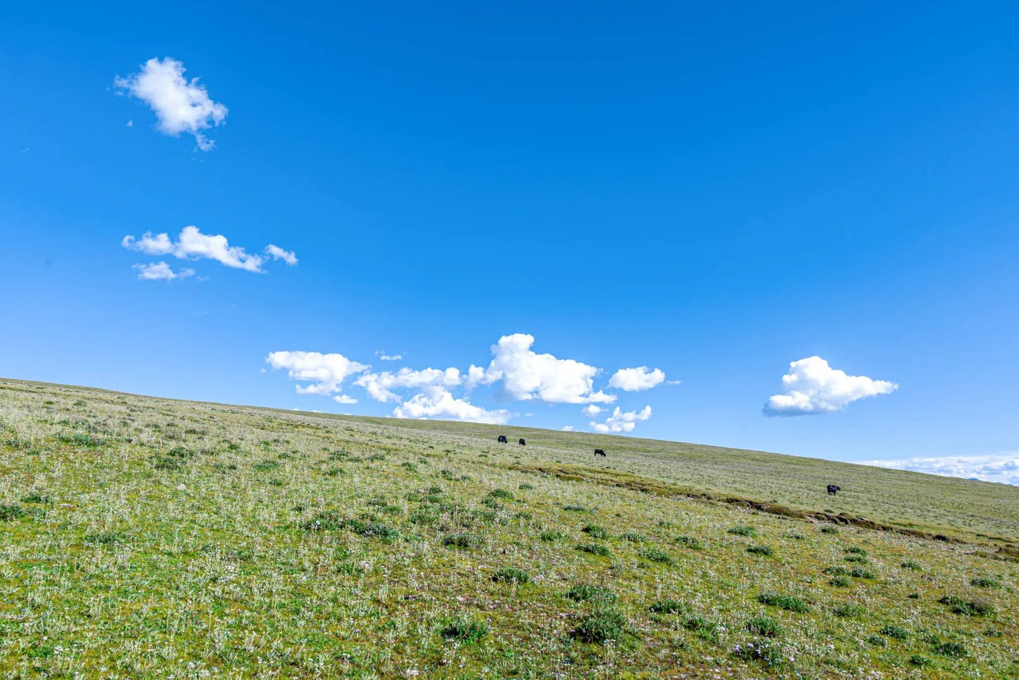 10-Day Sichuan Tibet Overland Tour from Chengdu to Lhasa